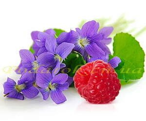 Отдушка "Малина і фіалка"