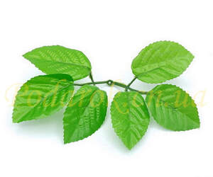 Листя троянди, L 18см